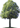 green logo tree
