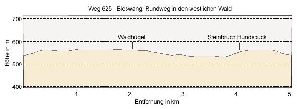 Bieswang - forest